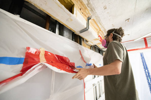 Best Mold Damage Restoration  in Wellston, OH